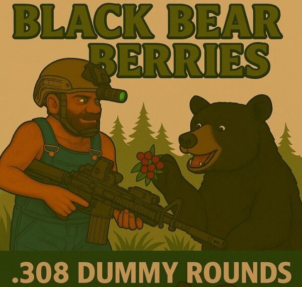 .308 Dummy Rounds